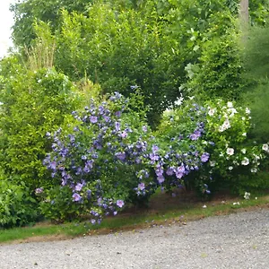 Bed and breakfast D'hotes La Loubatais, Dol-de-Bretagne